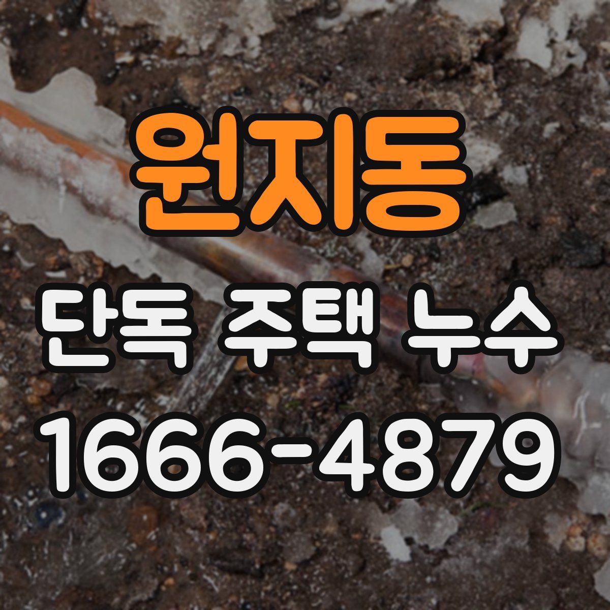 원지동 단독 주택 누수