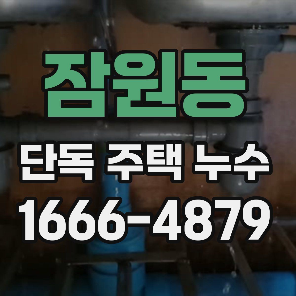잠원동 단독 주택 누수 수리 후 재발을 막는 관리법