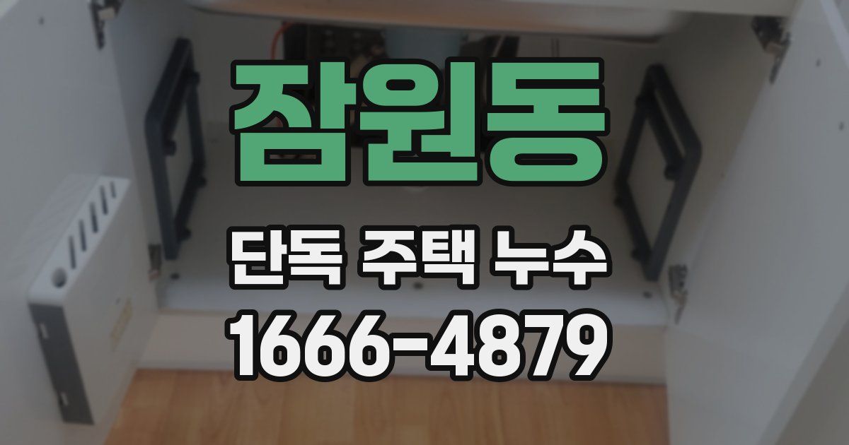잠원동 단독 주택 누수