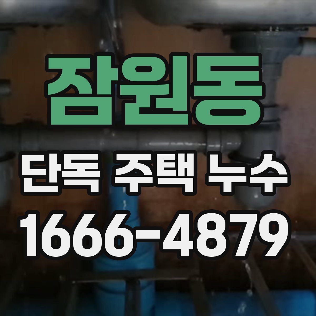 잠원동 단독 주택 누수