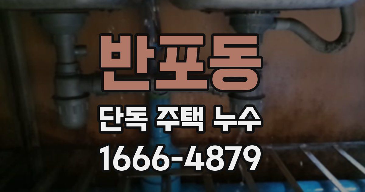 반포동 단독 주택 누수