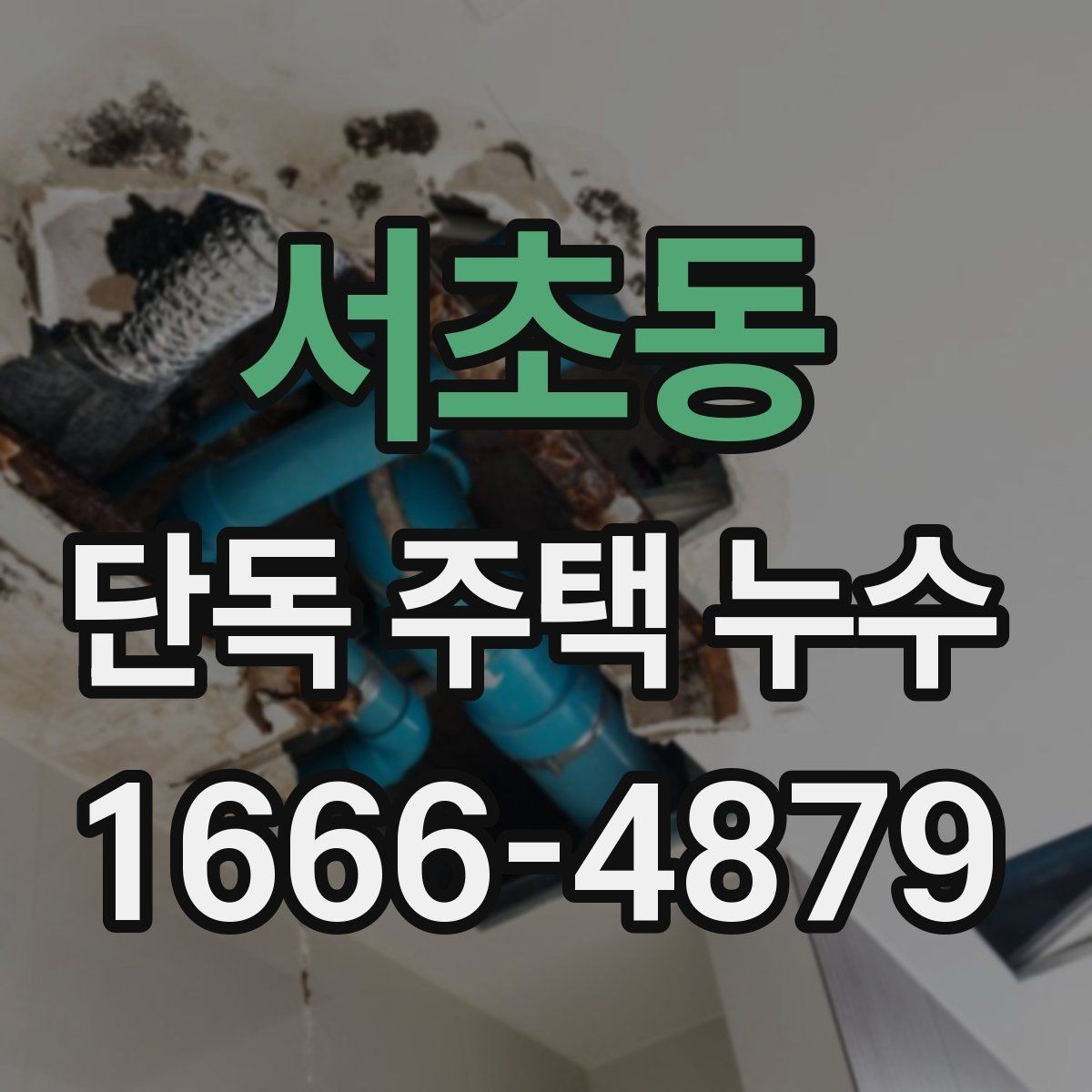 서초동 단독 주택 누수 관련 점검할 항목을 한눈에