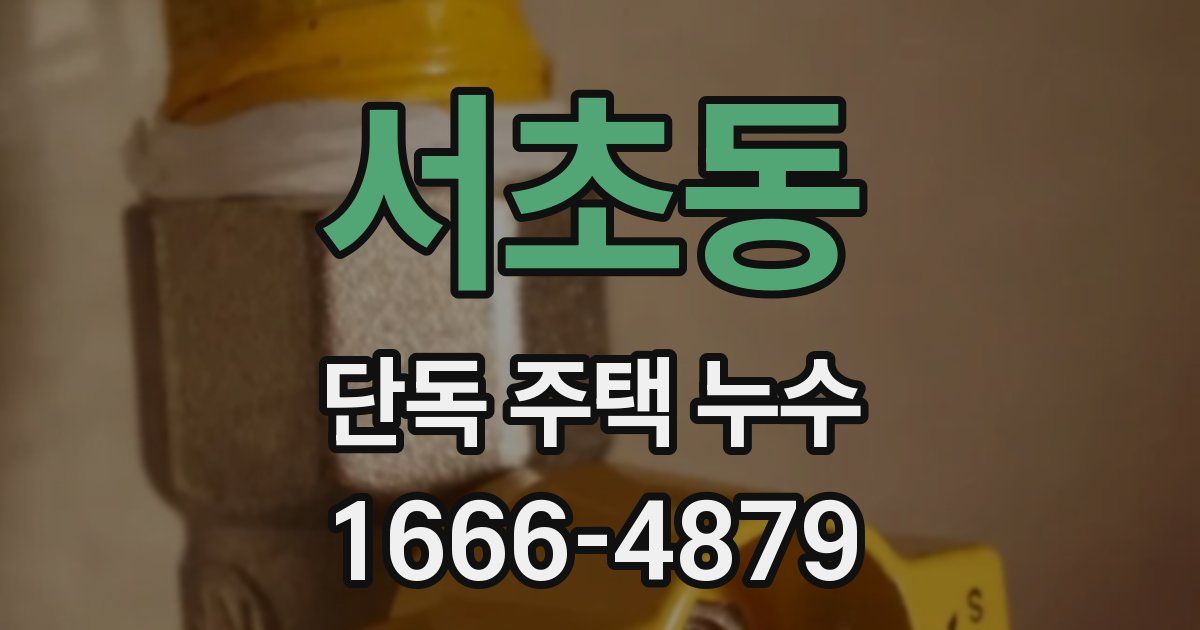 서초동 단독 주택 누수