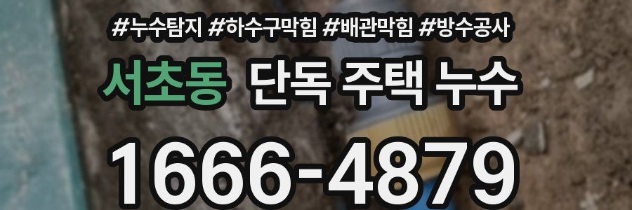 서초동 단독 주택 누수