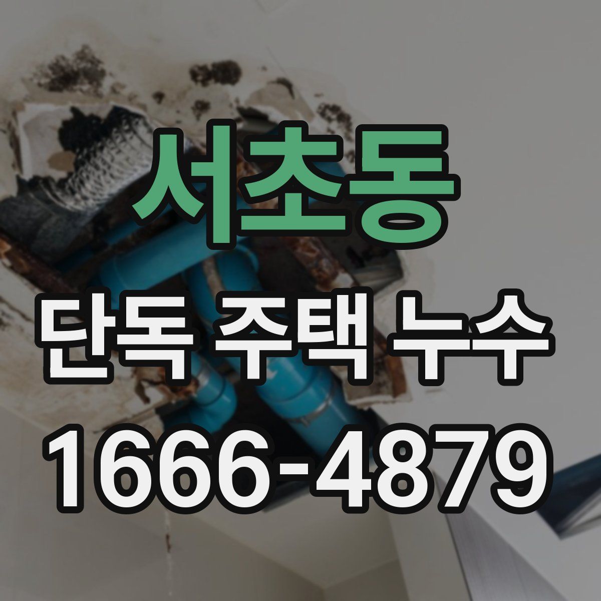 서초동 단독 주택 누수