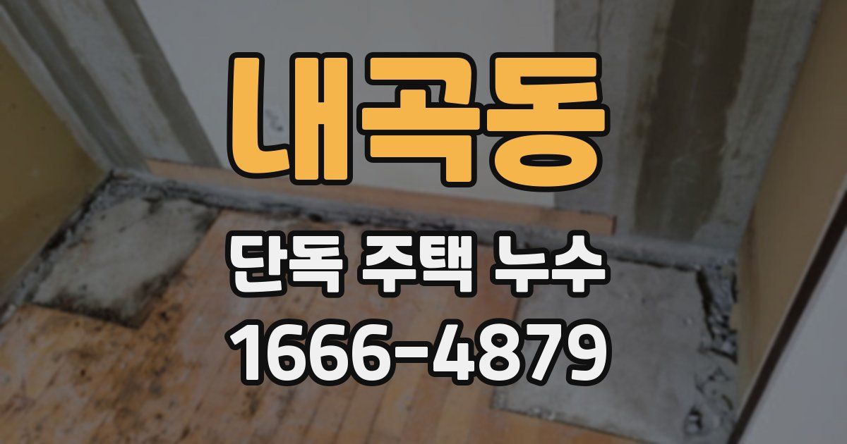 내곡동 단독 주택 누수