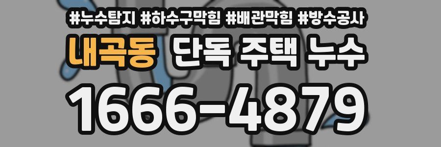 내곡동 단독 주택 누수
