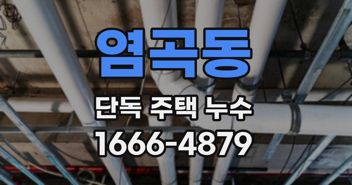 염곡동 단독 주택 누수