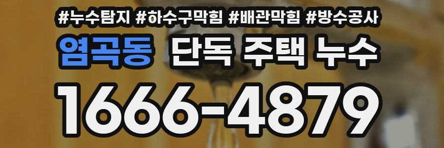 염곡동 단독 주택 누수