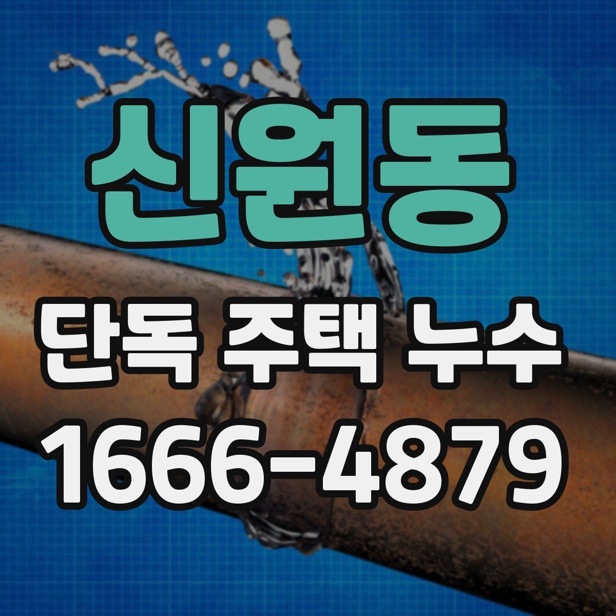 신원동 단독 주택 누수