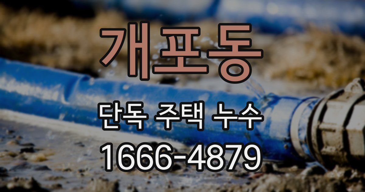 개포동 단독 주택 누수