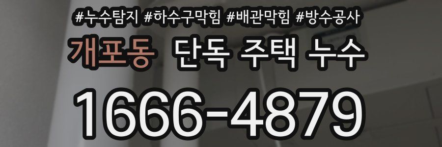 개포동 단독 주택 누수