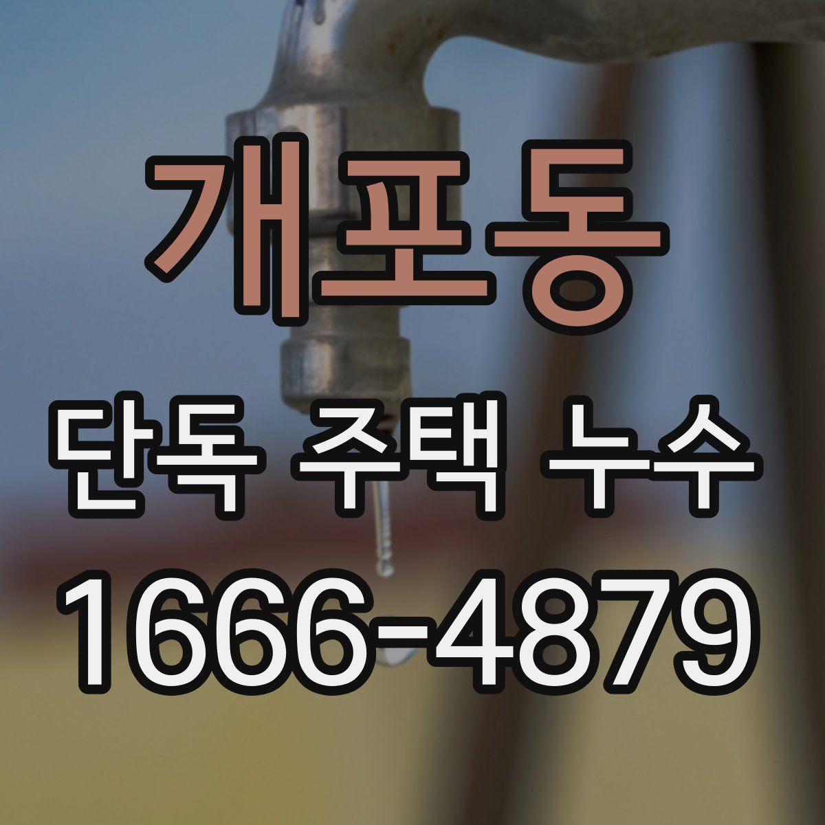 개포동 단독 주택 누수
