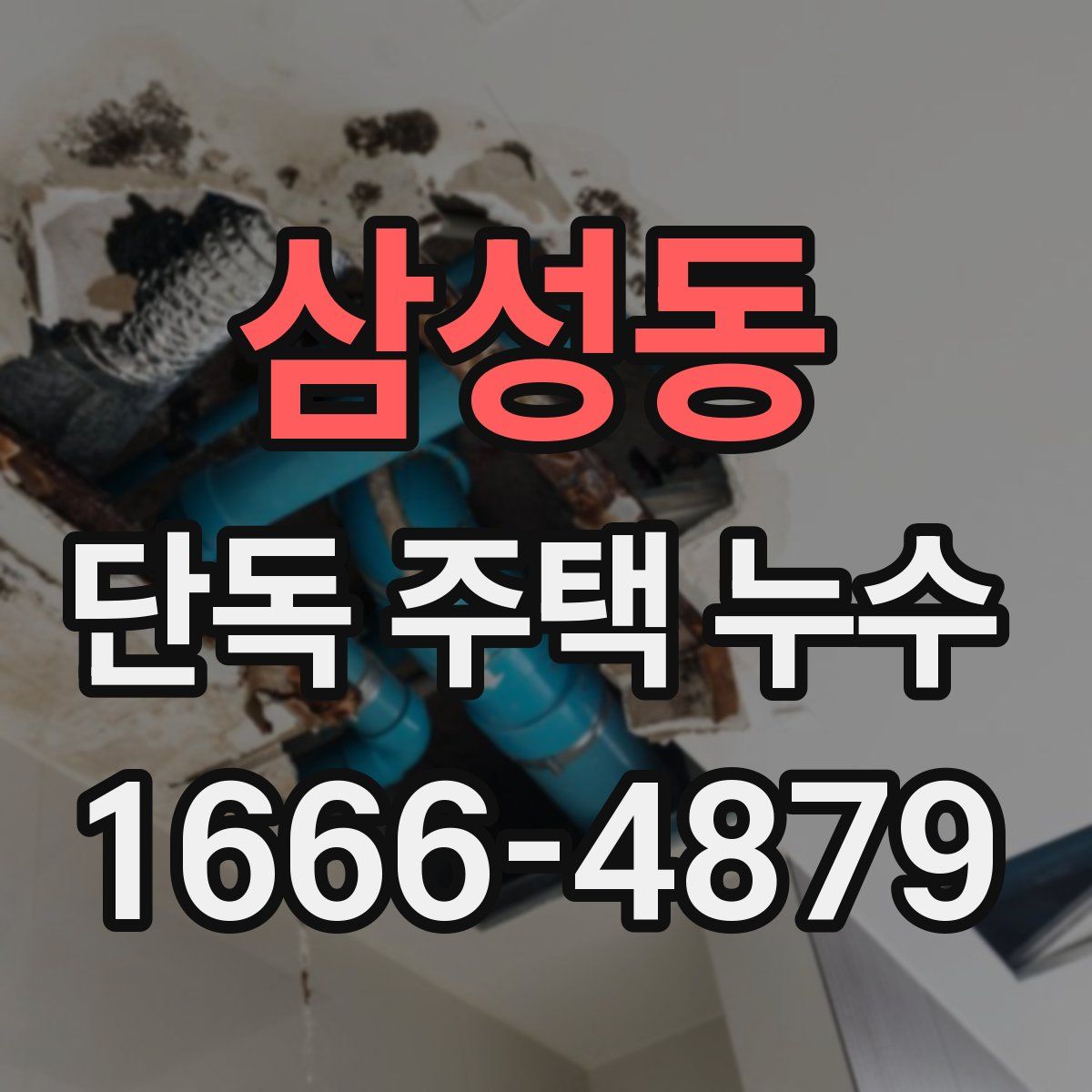 삼성동 단독 주택 누수