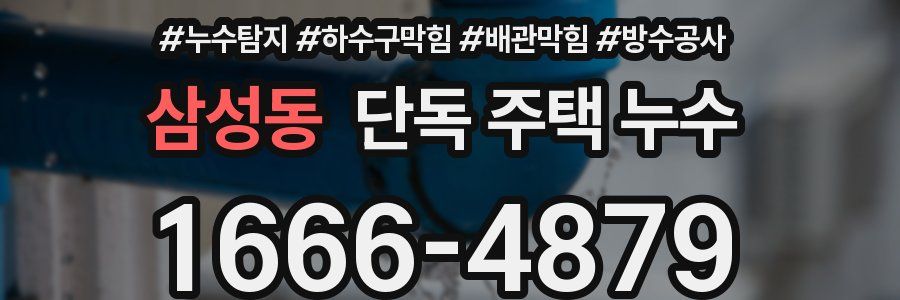 삼성동 단독 주택 누수