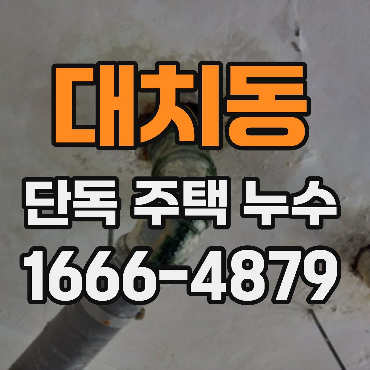대치동 단독 주택 누수