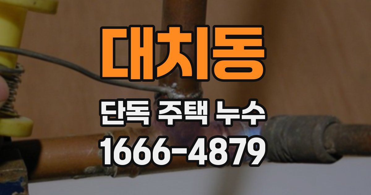 대치동 단독 주택 누수