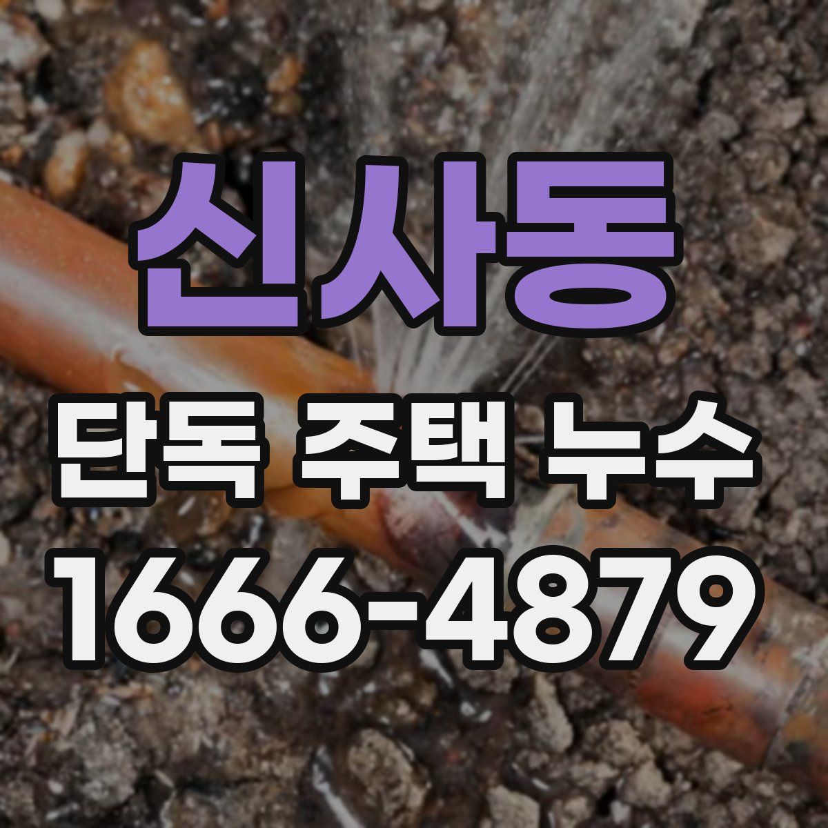 신사동 단독 주택 누수