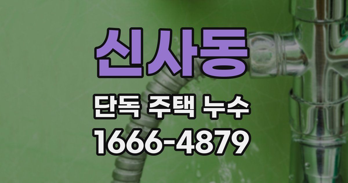신사동 단독 주택 누수