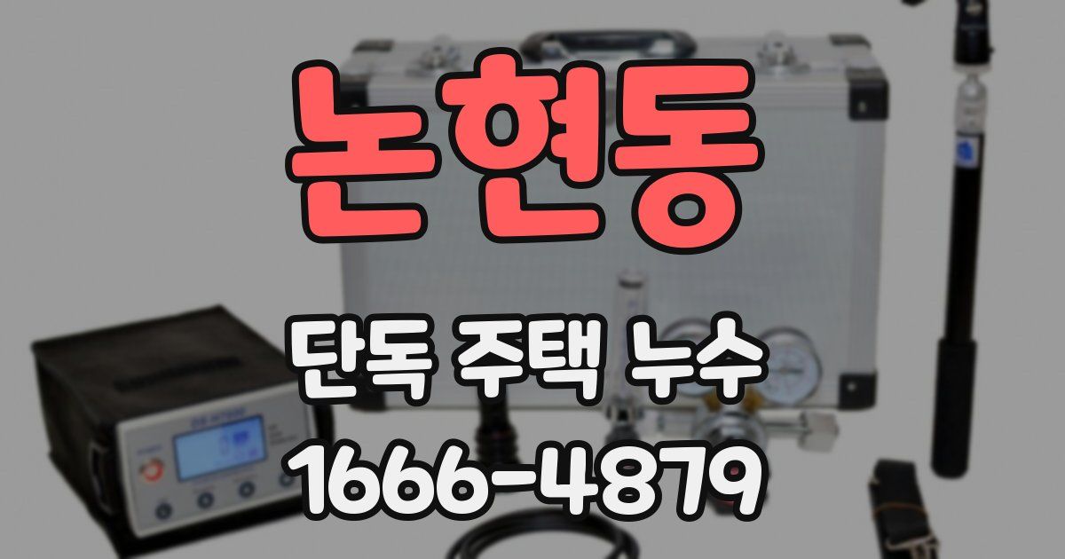 논현동 단독 주택 누수