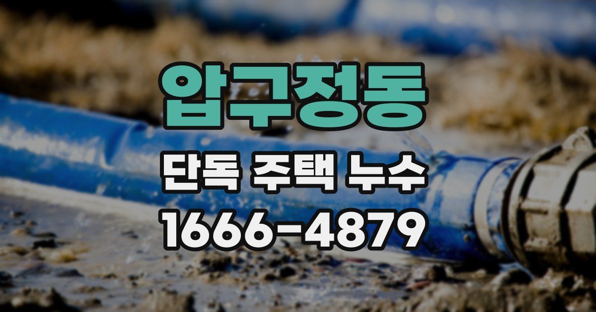 압구정동 단독 주택 누수