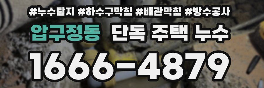 압구정동 단독 주택 누수