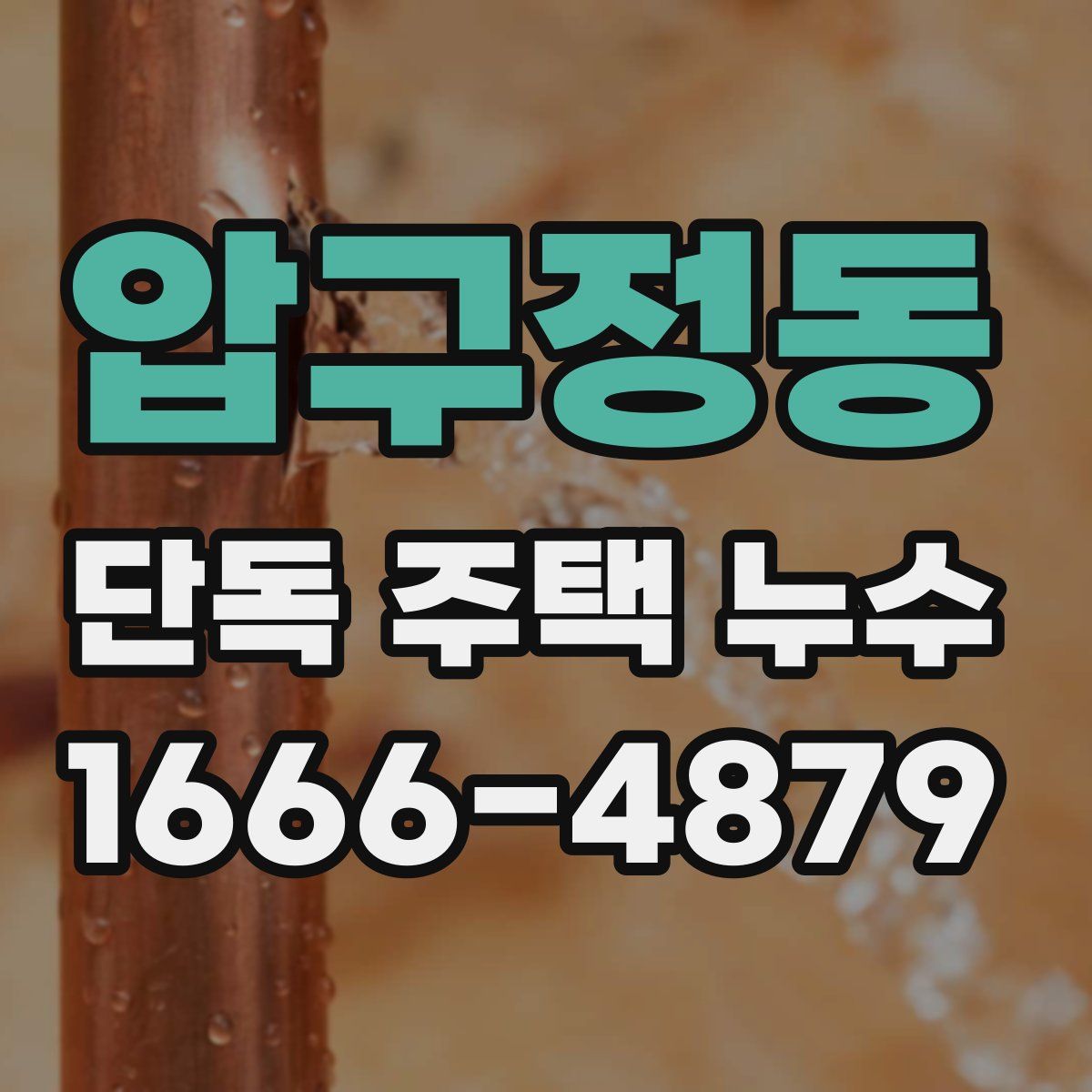 압구정동 단독 주택 누수