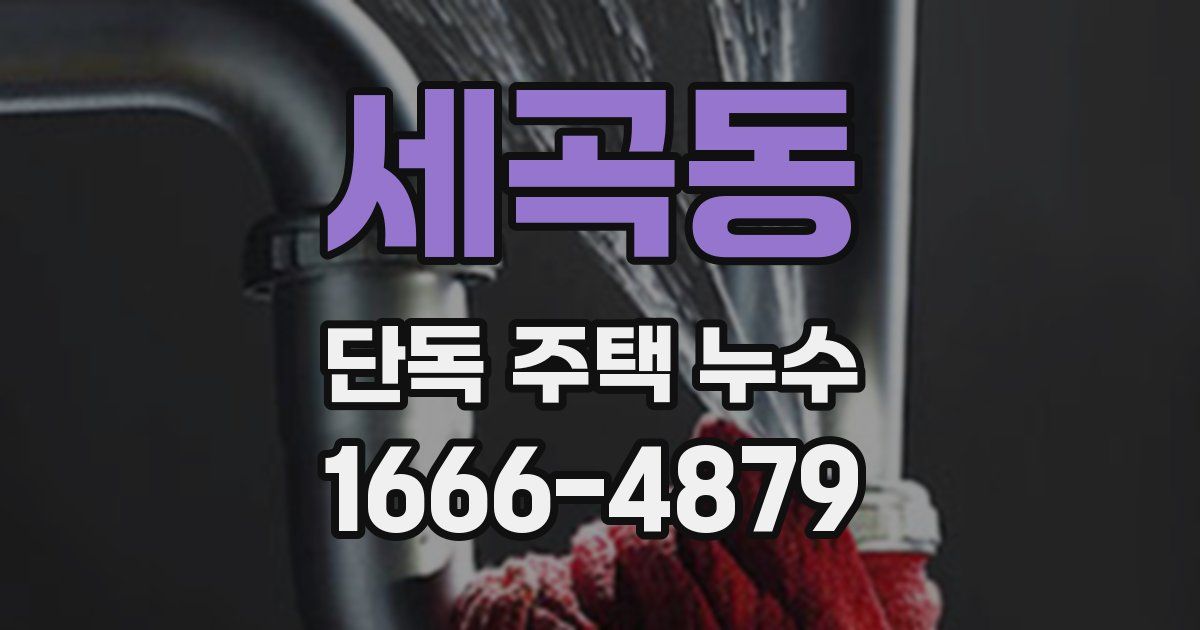 세곡동 단독 주택 누수