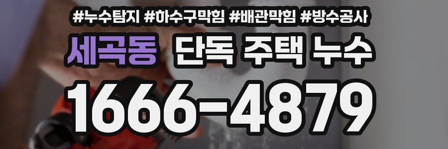 세곡동 단독 주택 누수
