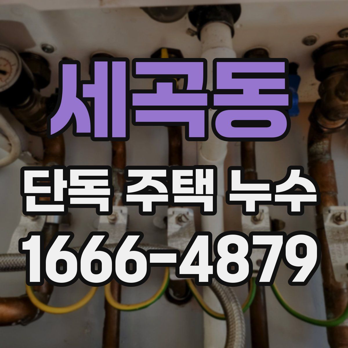 세곡동 단독 주택 누수