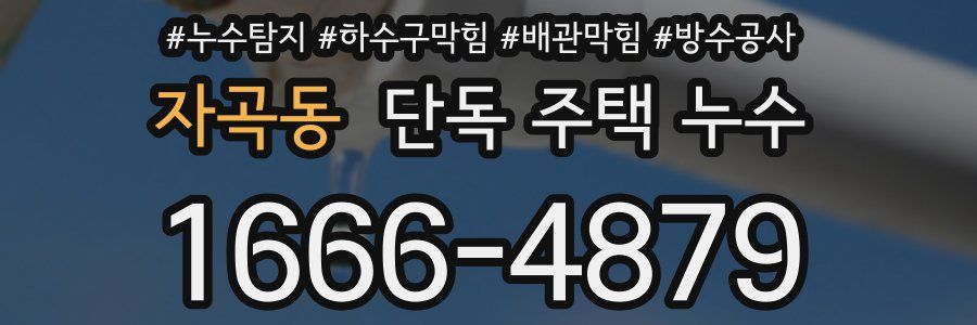 자곡동 단독 주택 누수