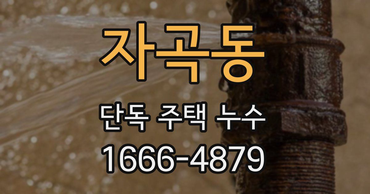 자곡동 단독 주택 누수