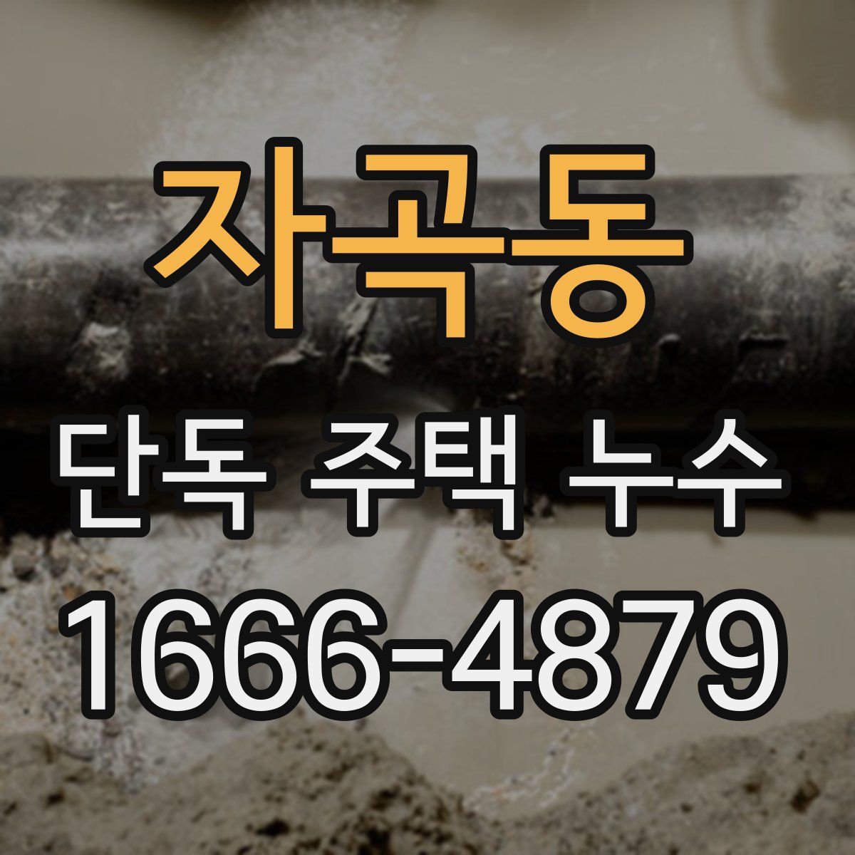 자곡동 단독 주택 누수