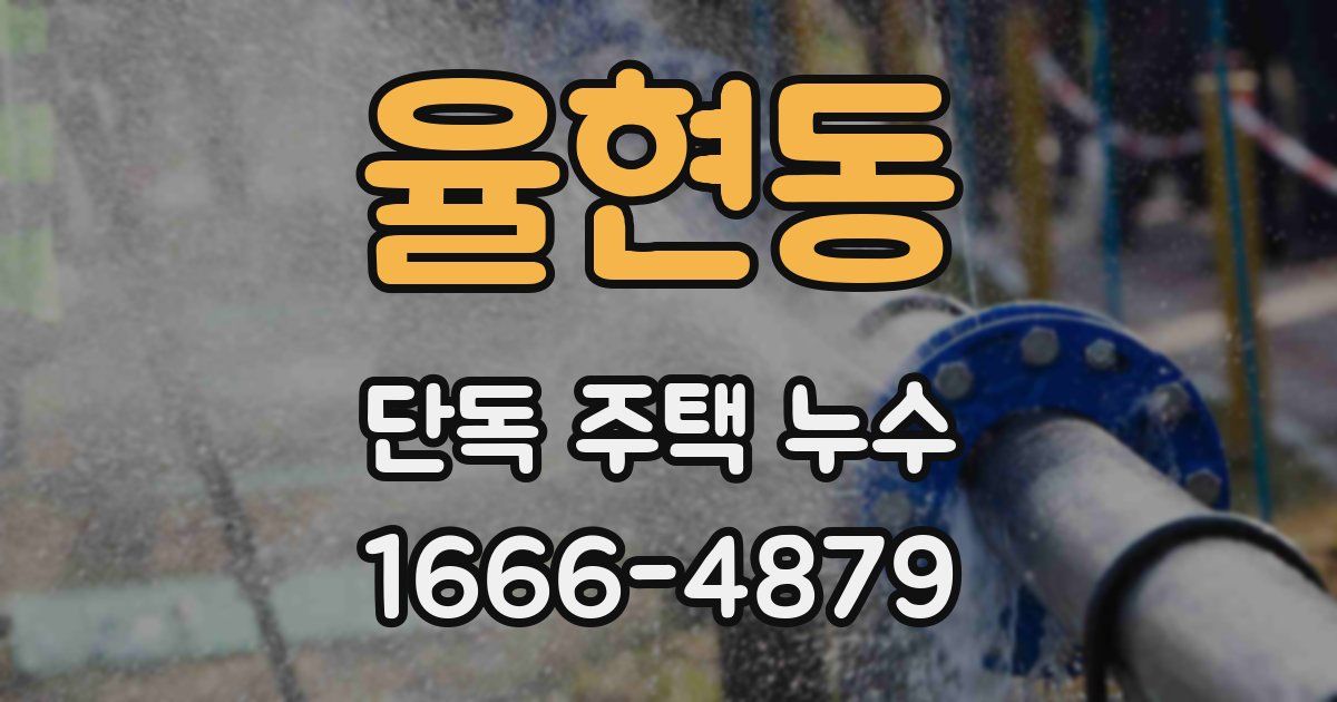 율현동 단독 주택 누수