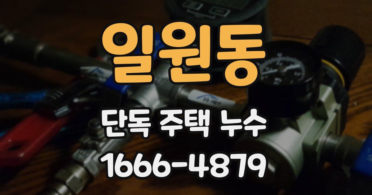 일원동 단독 주택 누수