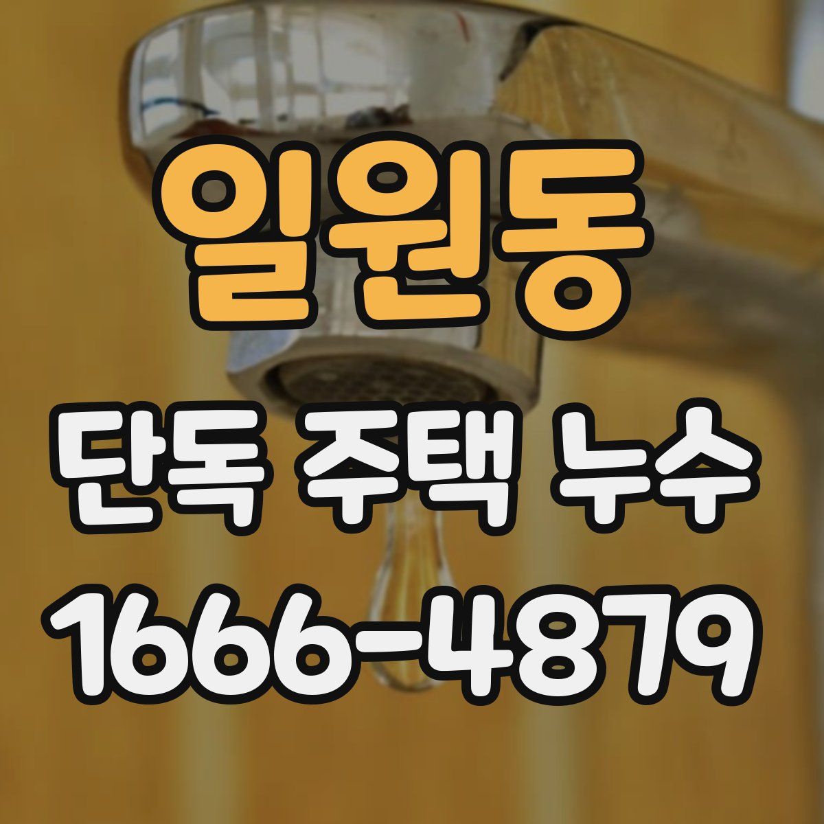 일원동 단독 주택 누수