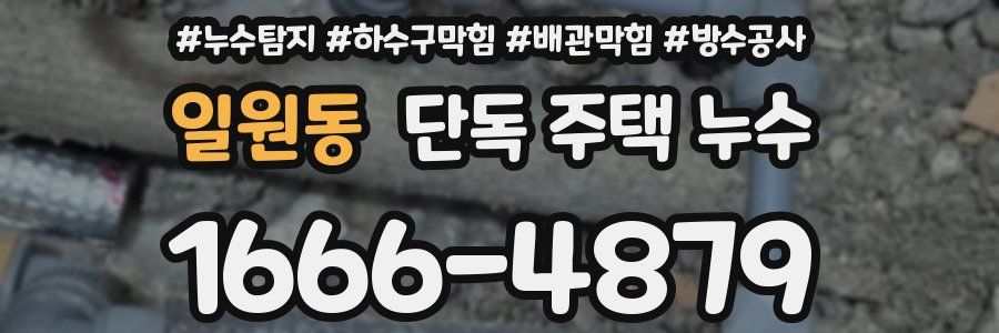일원동 단독 주택 누수