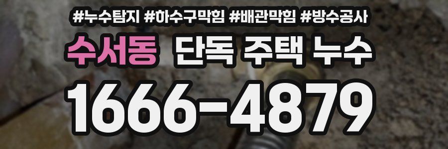 수서동 단독 주택 누수