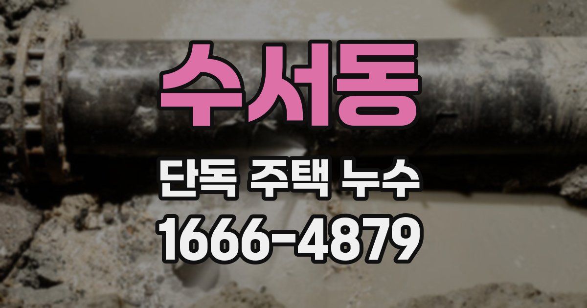 수서동 단독 주택 누수