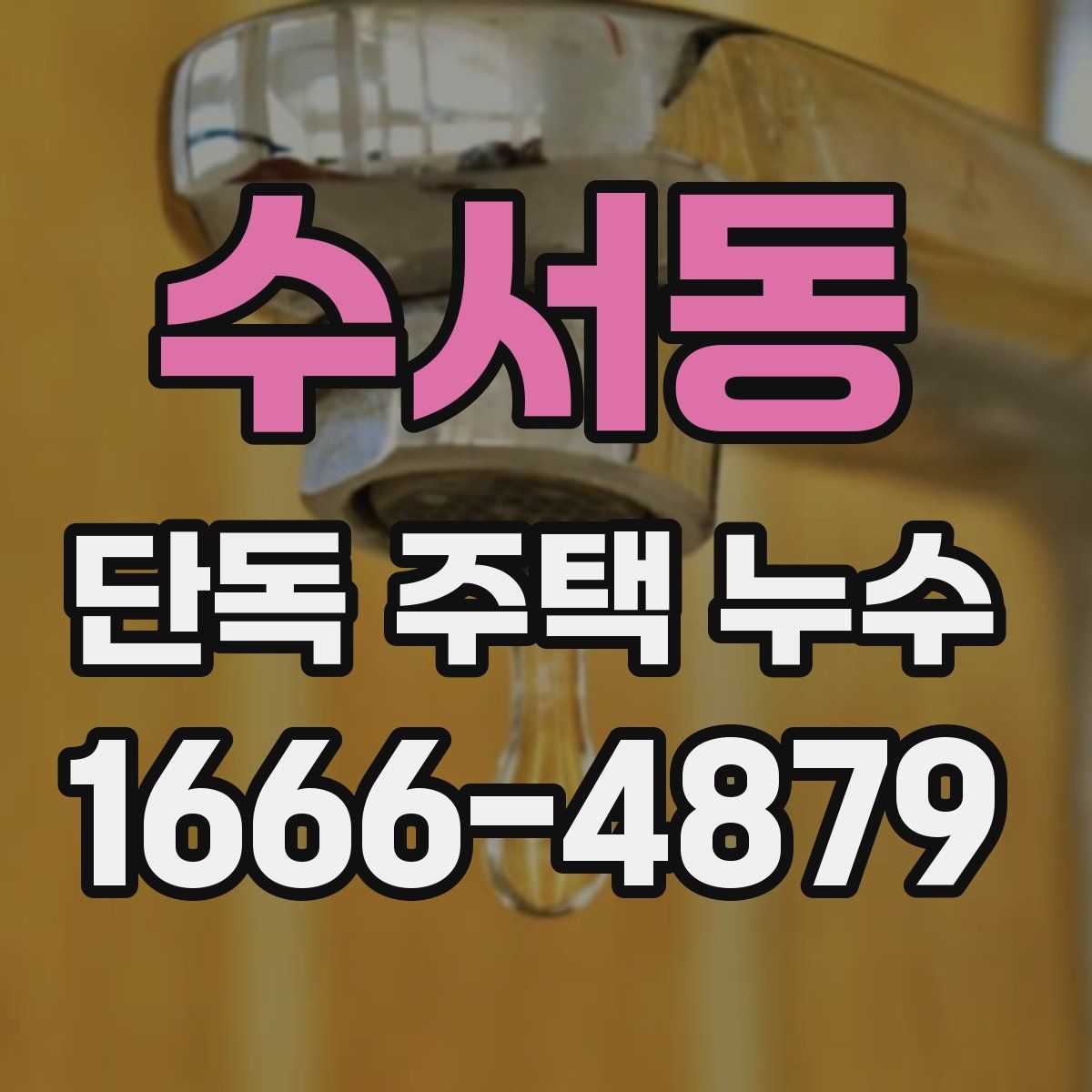 수서동 단독 주택 누수