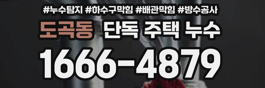 도곡동 단독 주택 누수