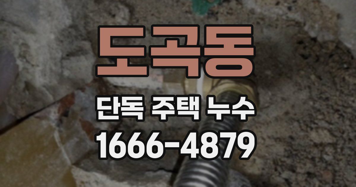 도곡동 단독 주택 누수