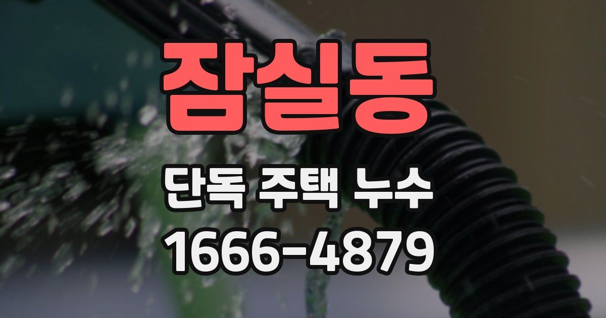 잠실동 단독 주택 누수