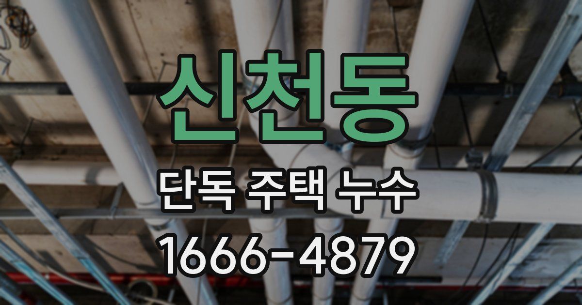 신천동 단독 주택 누수