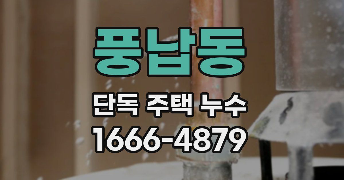 풍납동 단독 주택 누수