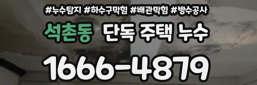 석촌동 단독 주택 누수