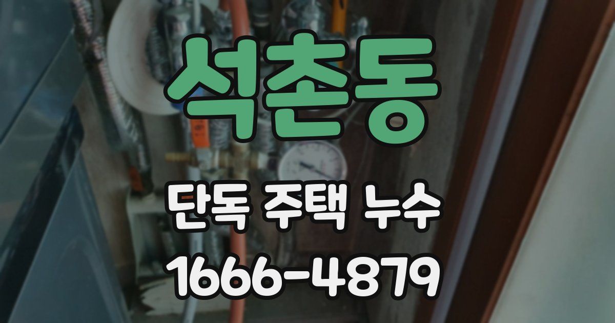 석촌동 단독 주택 누수
