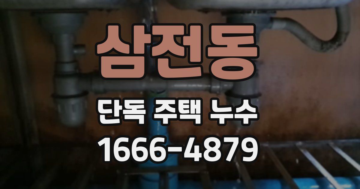 삼전동 단독 주택 누수