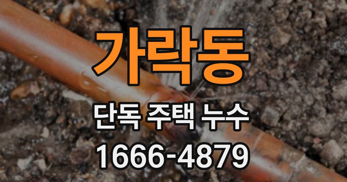 가락동 단독 주택 누수