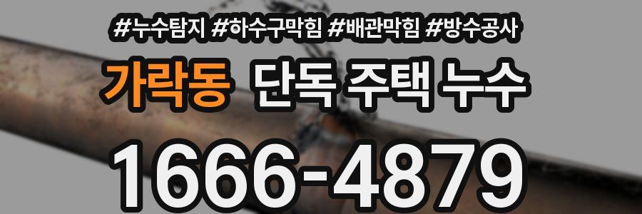 가락동 단독 주택 누수